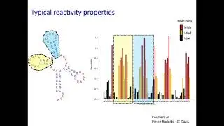 The RBP Footprint Grand Challenge at RNA 2021-2022 - Michelle Meyer - iRNA - Talk - ISMB/ECCB 2021
