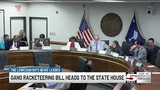 VIDEO: Prosecutors urge SC legislators to enact tougher anti-gang laws