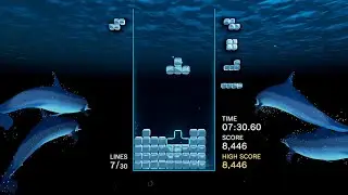 初心者によるテトリスエフェクト:コネクテッド　Tetris Effect: Connected