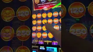 Zhao Cai Zhu Slot Machine | 88 cents bet | Pig burst bonus | July 28, 2025