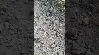 Di gunung lamongan 1