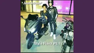 Shoo Fly