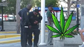 420 Pranks