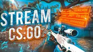 CS2⚡ stream🛑