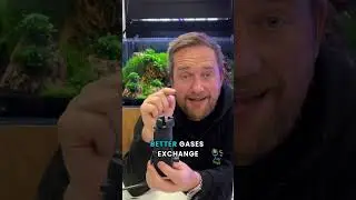 Почему каждому аквариуму нужен поверхностный скиммер! 💧🌿