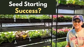 Indoor Seed Starting Garden Vlog | Budget Gardening