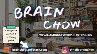 BrainChow - Bookshop Caf&eacute; - Brain Retraining Visualization