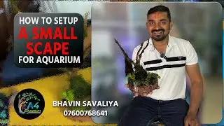 How to tie moss on Driftwood in Planted Aquarium? | Aquascaping Tips |  Do you tie or glue the Moss?