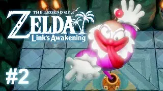 TLoZ: Link's Awakening #2 - Bottle Grotto