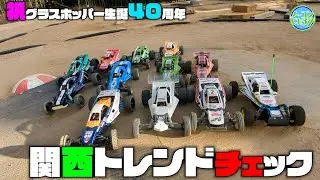 『和泉オフロード』に集まる色々なグラスホッパーを紹介