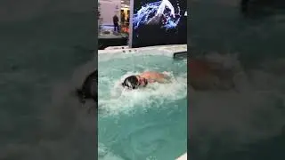 Aquanale - K&ouml;ln 2019,  Cologne, Germany