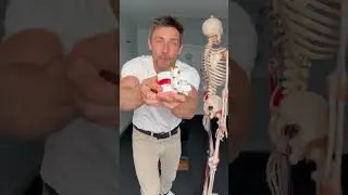 Back pain caused by a slipped disc. #backpain #slippeddisc