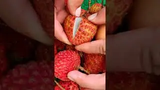 🍓🍇How To Cut Lychee 🍓🍇| Fresh Fruit Cutting In My Farm
