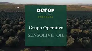 SENSOLIVE OIL - DCOOP
