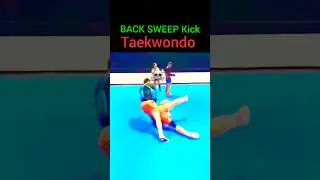 Back Sweep Kick KO! 👊🔥#BackSweepKick #BackSweepKick #Taekwondo #Shorts #YouTubeShorts #Kickboxing
