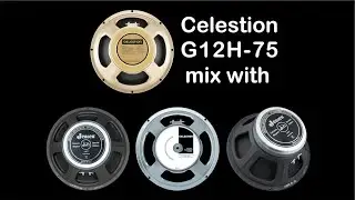 Celestion G12H-75 mix with Jensen Raptor, G12K-100, Jensen EL 70