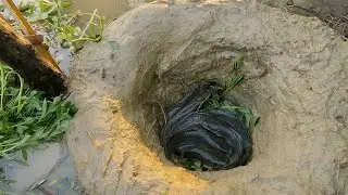 Fishing in the primitive way of a village boy ।। Fishing video 