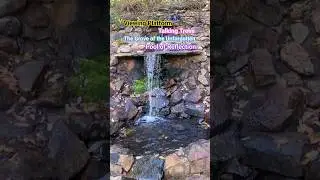 Water flowing to the Pool of Reflection #shorts