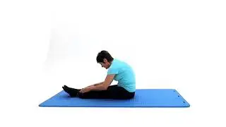 Sit and Reach Stretch