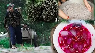 What is the secret of Attap (Mountain coconut seeds) seeds hidden in the special shell?