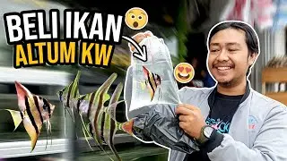 BELI IKAN MANFISH DI TOKO PANCING!!!