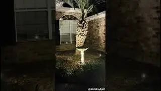 Eco-Friendly Elegance: Varmtalys Solar Spotlights in Action 🌞