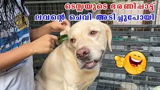 ടെസ്സയുടെ ഭരണിപ്പാട്ട് 🤣 - Terri മ്യാമന്റെ കിളിപോയി