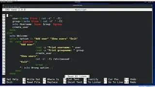 30. Bash scripts #4
