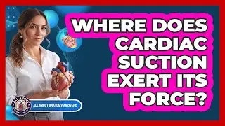 Where Does Cardiac Suction Exert Its Force?