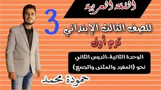 3- اللغة العربية نحو(المفرد والمثني والجمع) للصف الثالث الإبتدائي ترم أول منهج جديد سلاح التلميذ2026