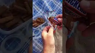 poor snickers #shorts #chocolate #snickers #summer #yummy #melting