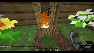 minecraft, when it was fun. #nochatfilter