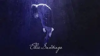 Lady Midnight | This Is The Hunt