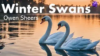 Winter Swans - Owen Sheers
