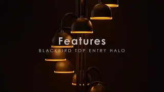 VIZULO FEATURES || Blackbird Top entry Halo