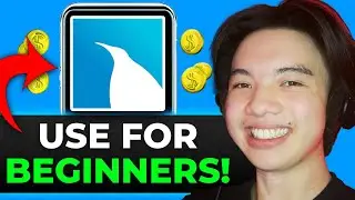 How to Use Find Penguins for Beginners: Full Guide 2025!
