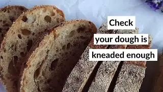 How to check that your bread dough is kneaded enough.