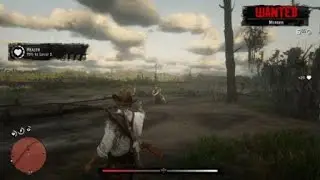 How to deal with the law