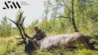 Эта охота на лося пошла не по плану!