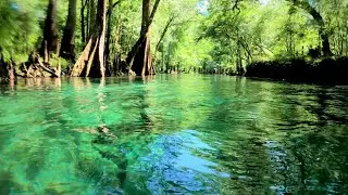 Relaxing Float Down Florida's Ichetucknee River