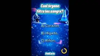 Cual es el &oacute;rgano que filtra la sangre🩸?