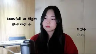 밤에 내린 눈 Snowfall at Night - 도경수 D.O. cover by dianne