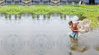 Amazing Cast Fishing Skill - Best River Fishing Video -Amazing Village Fishing
