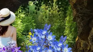 Calm your mind with peaceful relaxing music / Top Quotes of All Time #relaxation