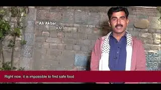 Government needs immediate action to provide safe and nutritious food