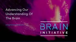 Dr. Amina Ann Qutub and The BRAIN Initiative&reg;