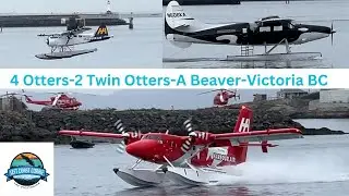 Foggy Seaplane Spectacle-7 De Havilland Classics at Victoria Harbour!