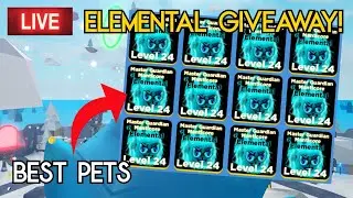 🔴 (LIVE) Ninja Legends Elemental Pet Giveaway (12/15)