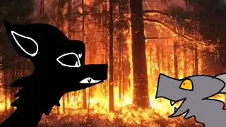 snadow Lady - animation meme Greytail