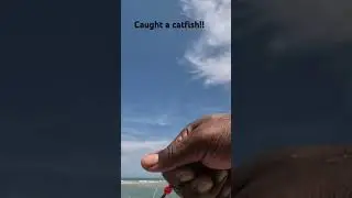 Caught a CATFISH!!! #fishing #fishnfunoutdoors #fishingholiday #fish #outdoorfunforkids